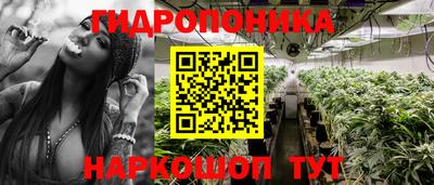 a pvp Камень-на-Оби