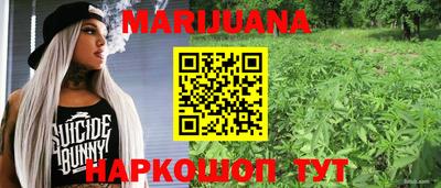 винт Будённовск