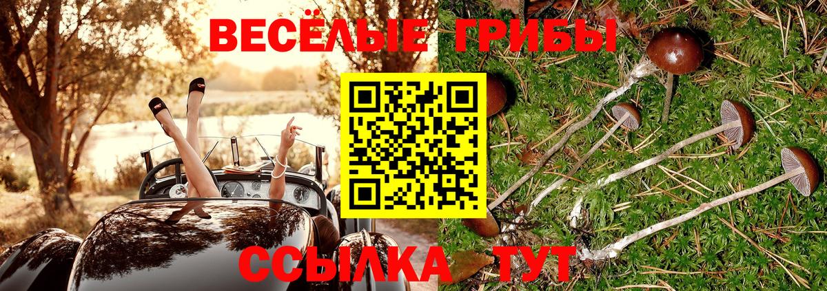 Галлюциногенные грибы Cubensis  Вход с VPN  как найти закладки  Галлюциногенные грибы Magic Shrooms  Рассказово 